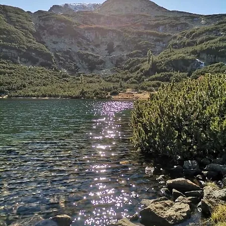 Advel Guest House-rila Mountain Retreat