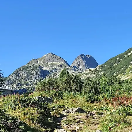 Gasthof Advel Guest House-rila Mountain Retreat Madzhare